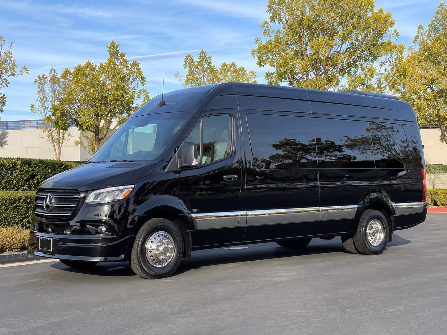 st paul 10 passenger sprinter van