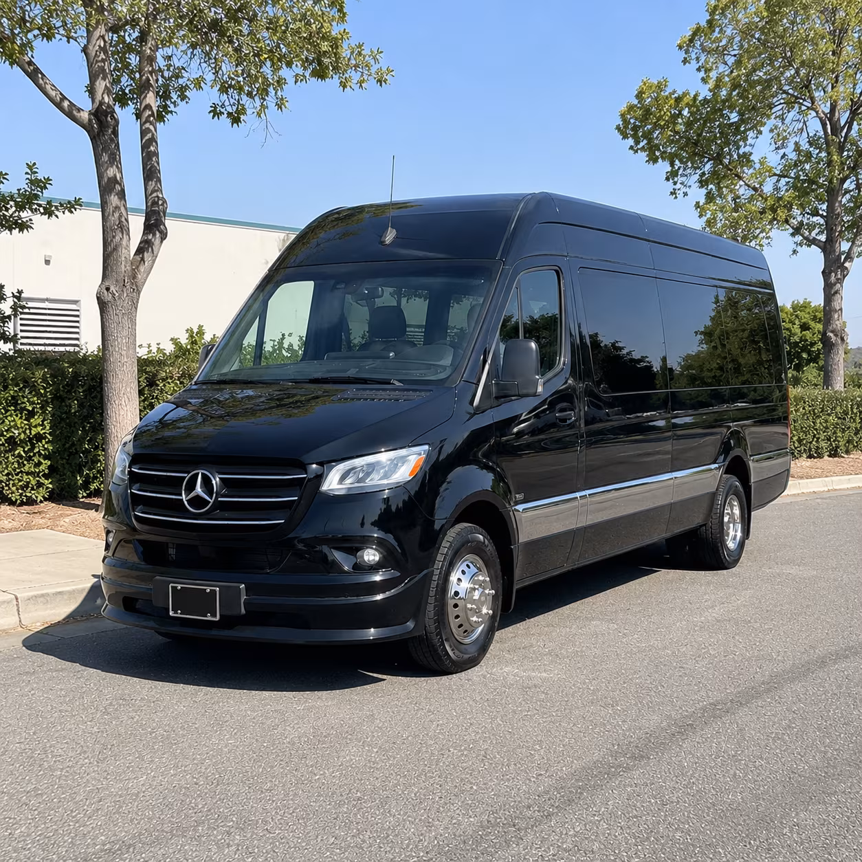 st paul sprinter limousine